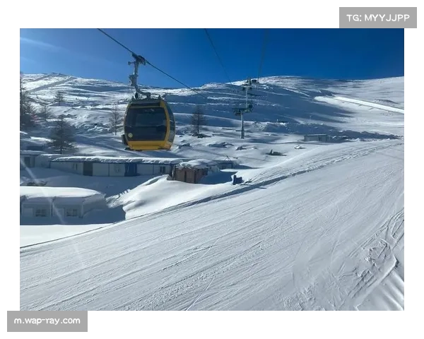 北美赛场地理气候挑战 球队适应高海拔高温成体能考验