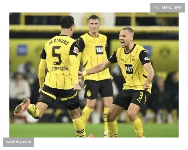 多特后防核心安东表现稳健，解围抢断数据亮眼